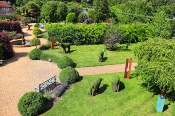Photo Weed-infested garden