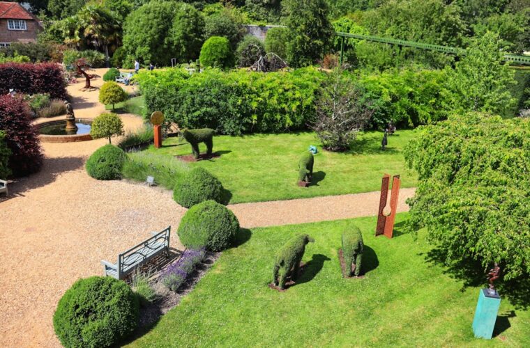 Photo Weed-infested garden