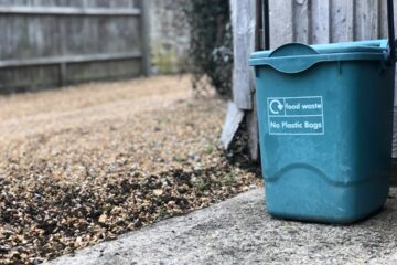 Photo Compost bin