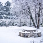 Photo Winter garden