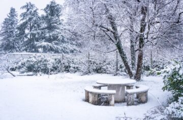 Photo Winter garden