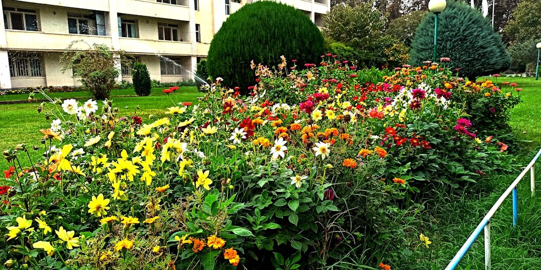 Photo alternative garden