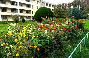 Photo alternative garden