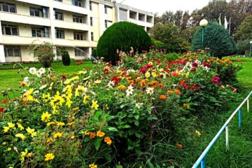Photo alternative garden